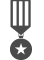 Veteran Icon 2