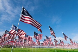 American flags waving in the wind on a field